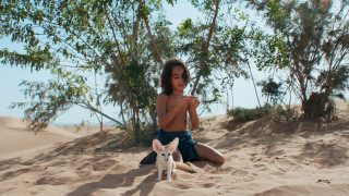 Vignette du film L&rsquo;Enfant Du Désert