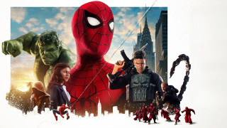 Vignette du film Spider-Man : Brand New Day
