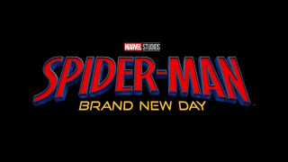 Vignette du film Spider-Man : Brand New Day