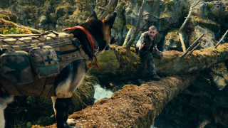 Vignette du film Heart of the Beast
