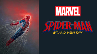 Vignette du film Spider-Man : Brand New Day