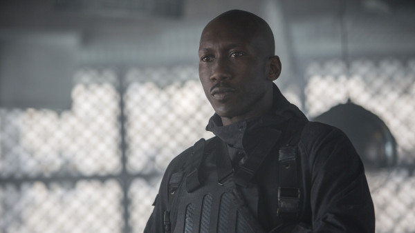 image du film Hunger Games : la révolte - partie 2
