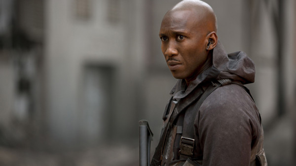 image du film Hunger Games : la révolte - partie 1