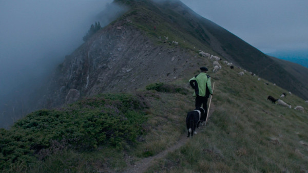 image du film Le berger et les ours