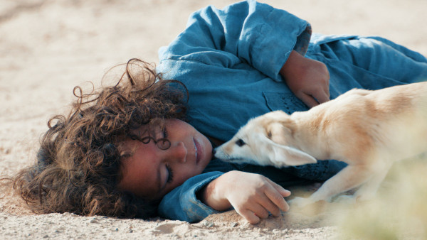 image du film L'Enfant du Désert
