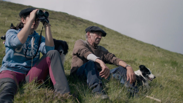 image du film Le berger et les ours