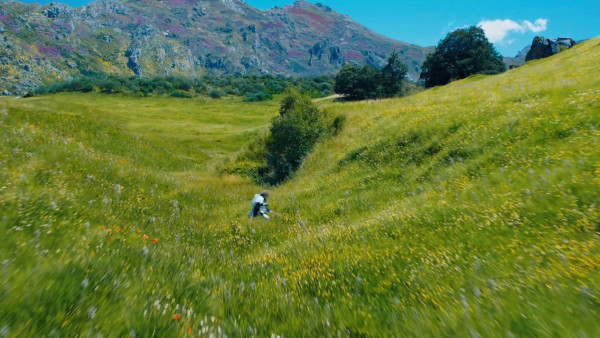 image du film Hunger Games : Lever de soleil sur la moisson