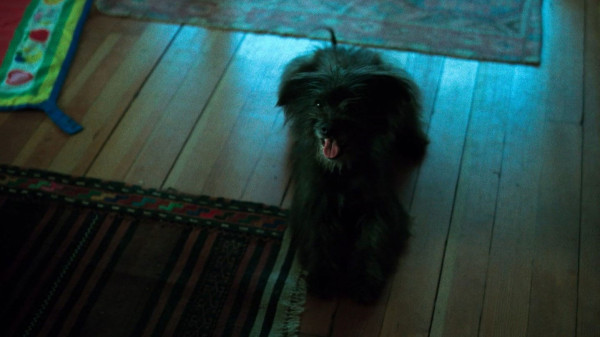 image du film Die My Love