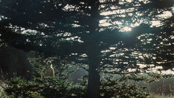 image du film Die My Love