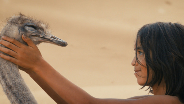 image du film L'Enfant du Désert