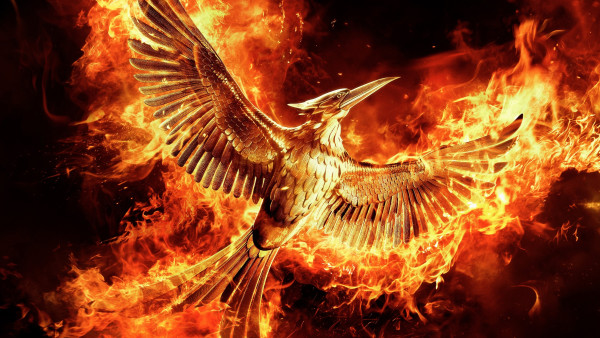 image du film Hunger Games : la révolte - partie 2
