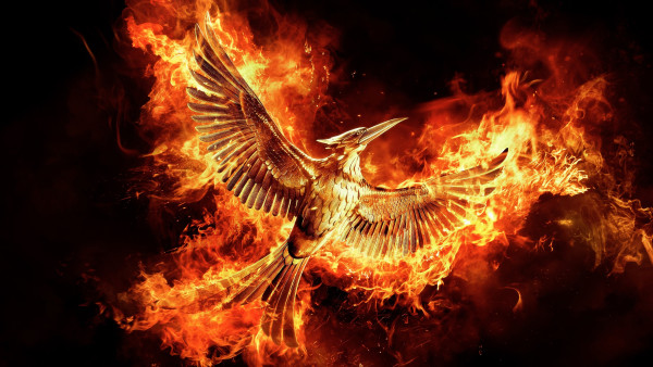 image du film Hunger Games : la révolte - partie 2
