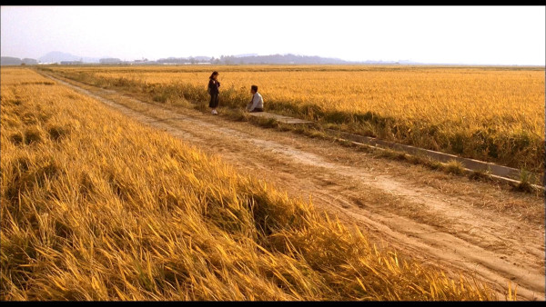 image du film Memories of Murder