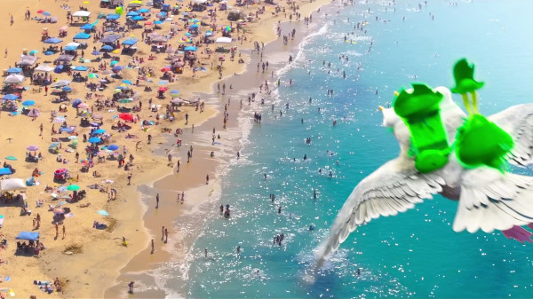 image du film Bob L'Éponge – Le Film : Un Pour Tous, Tous Pirates !