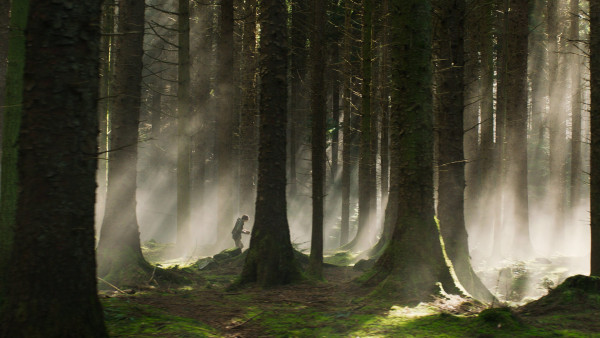 image du film Dragons