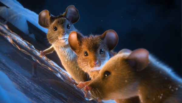 image du film Panique à Noël