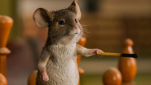 image du film Panique à Noël