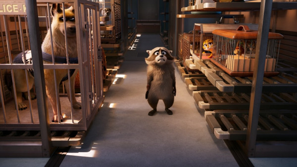 image du film Falcon Express