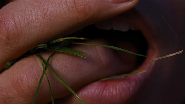 image du film Hurlevent