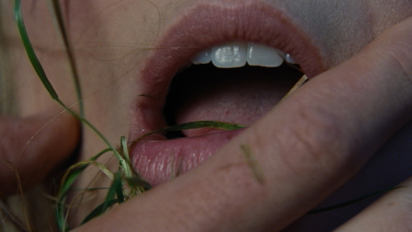 image du film Hurlevent