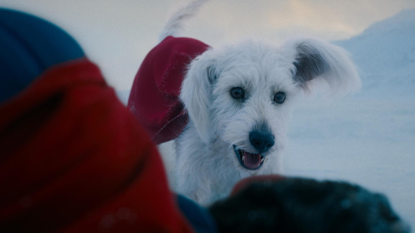image du film Superman