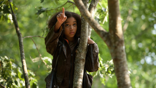 image du film Hunger Games
