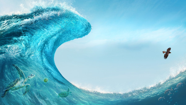 image du film Vaiana, la légende du bout du monde
