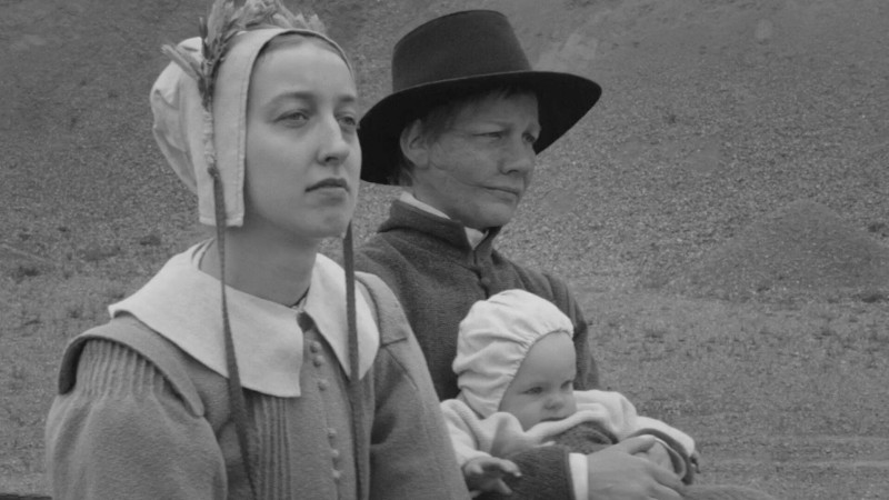 Image du film Rose