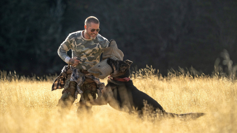Photo du film Heart of the Beast