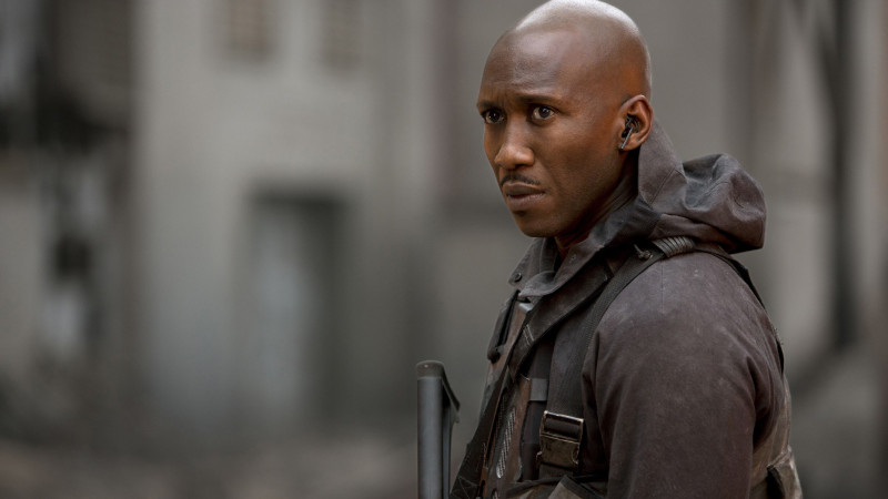 Image du film Hunger Games : la révolte - partie 1