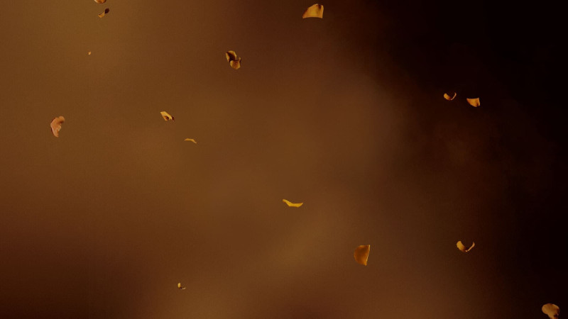 Image du film Hunger Games: la Ballade du serpent et de l'oiseau chanteur