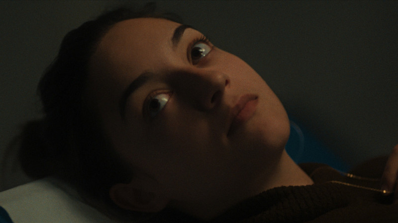 Photo du film La dernière patiente
