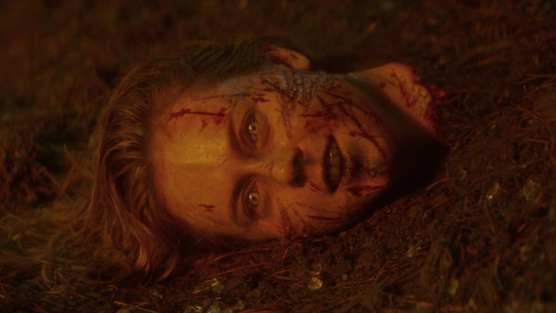 Photo du film Evil Dead Burn