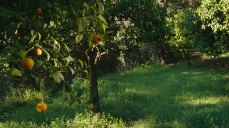 Image du film La Gradiva