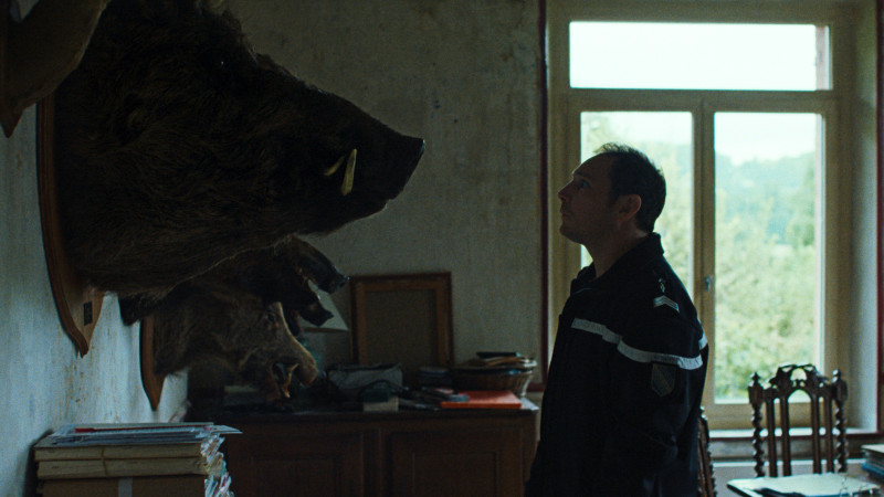 Image du film L'Espèce explosive