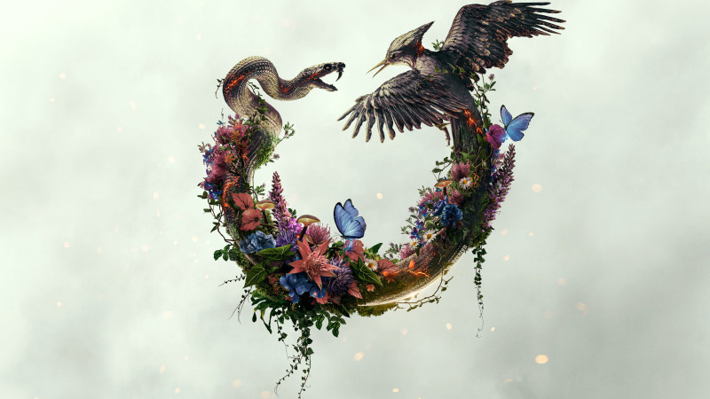 Image du film Hunger Games : Lever de soleil sur la moisson