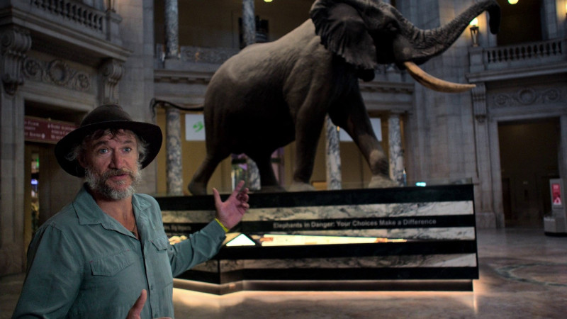 Photo du film Ghost Elephants