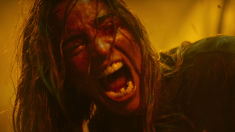 Photo du film Evil Dead Burn
