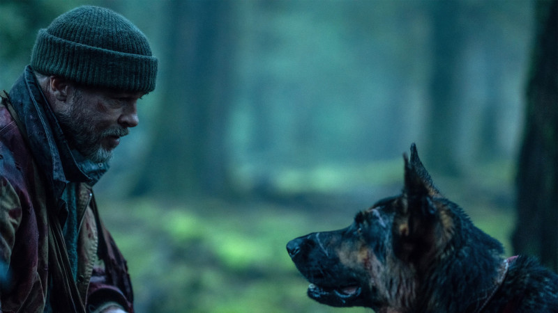 Photo du film Heart of the Beast