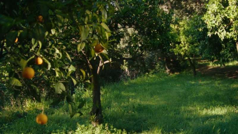 Image du film La Gradiva