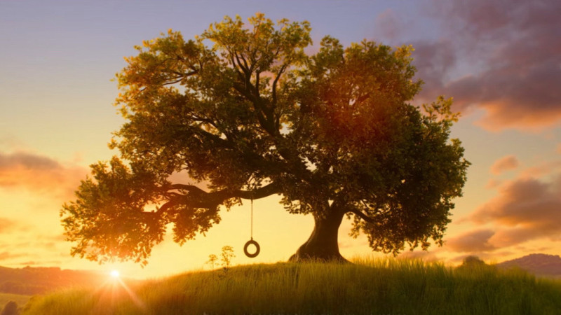 Photo du film Toy Story 5