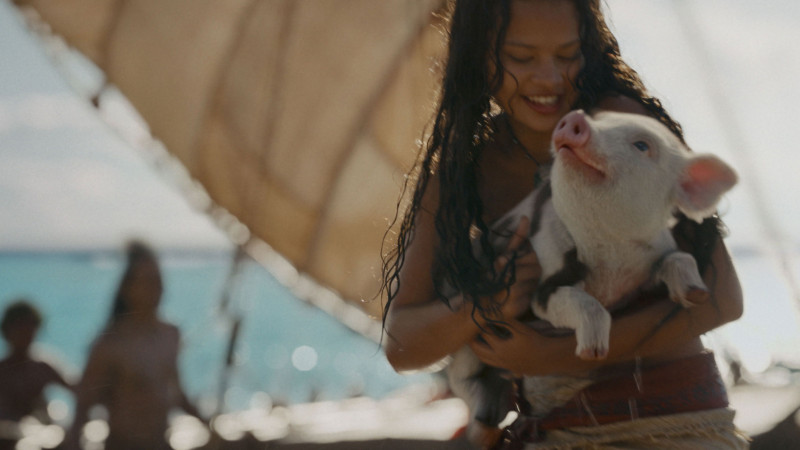 Photo du film Vaiana, la légende du bout du monde