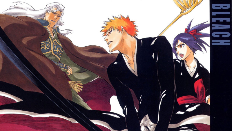 Bleach : Memories of Nobody
