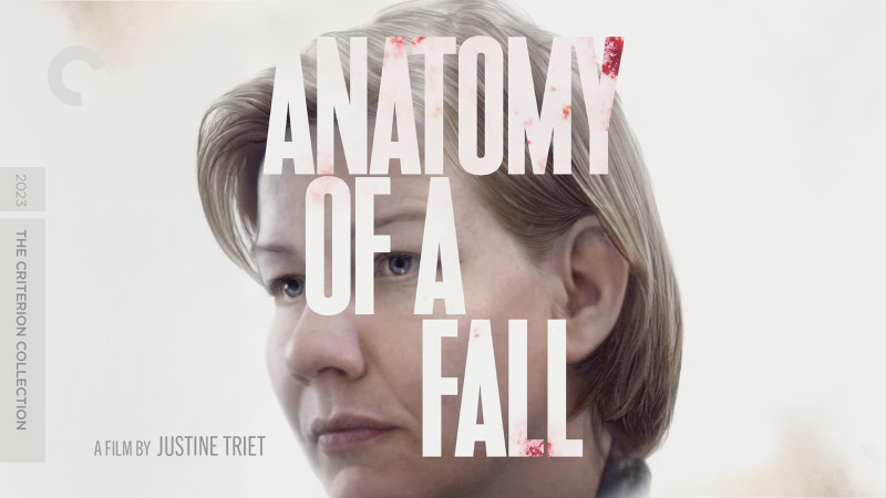 Photo du film Anatomie d&rsquo;une chute