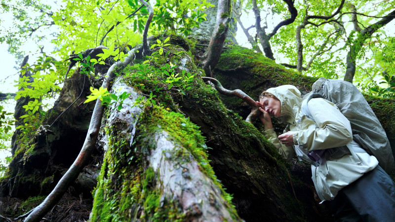 L’Illusion de Yakushima