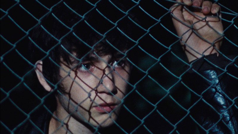 Photo du film Adieu monde cruel