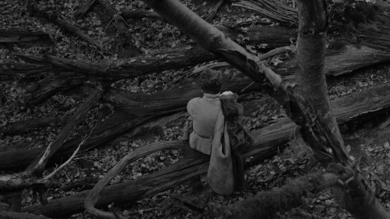 Image du film Rose