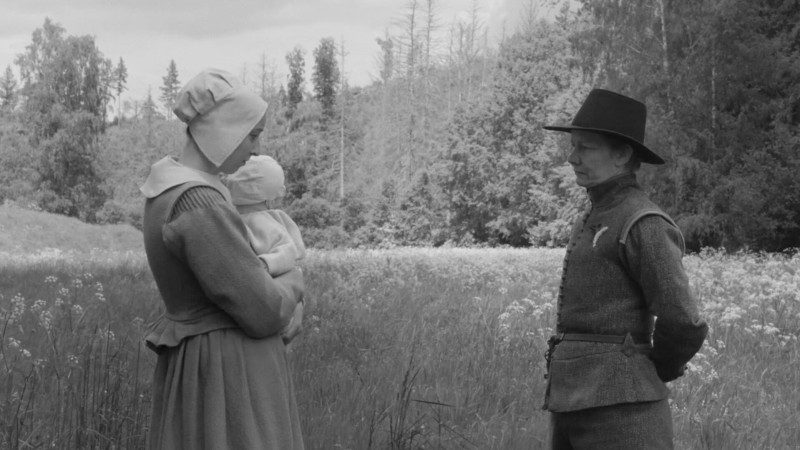 Image du film Rose