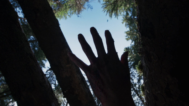 Photo du film Hope
