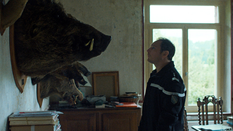 Image du film L'Espèce explosive